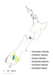 Veronica chionohebe distribution map based on databased records at AK, CHR & WELT.
 Image: K.Boardman © Landcare Research 2022 CC-BY 4.0